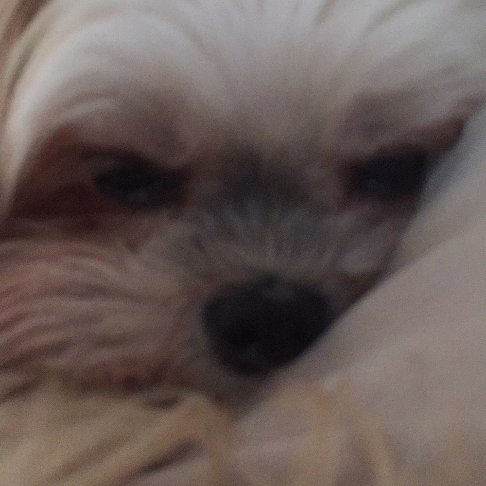 Meet your Posher, Deb